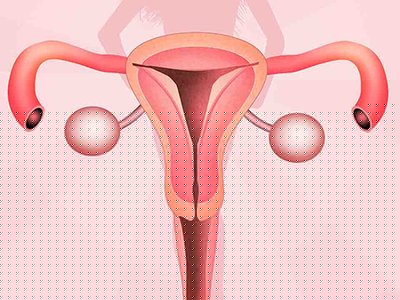 在石家庄做二代试管费用多少