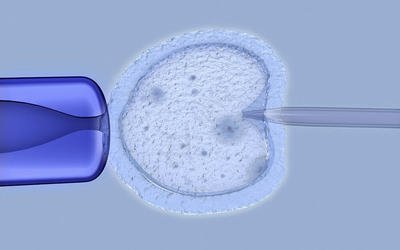 佛山试管做宫腔镜查看是为了什么呢