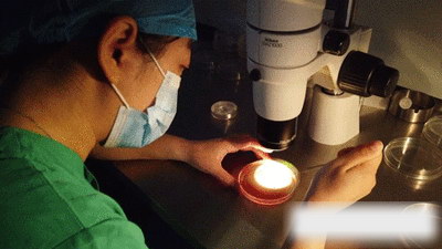 石家庄二代试管价格表一览