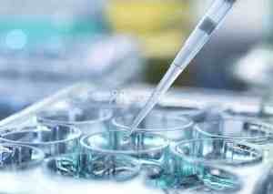 石家庄二代试管价格多少