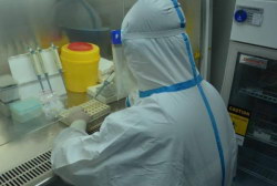 宫腔镜和诊刮相比较有什么优势,能提升试管婴儿妊娠率吗