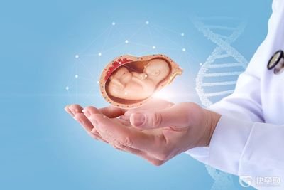 试管医治中为什么还需要做甲状腺查看