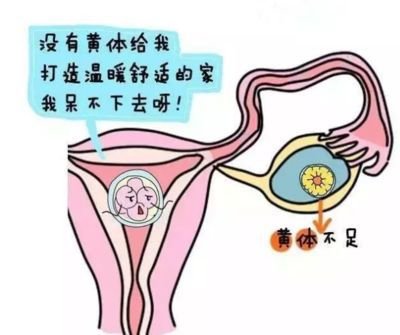 珠海试管婴儿医治遇到子宫肌瘤会有什么影响吗