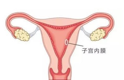 第一次做试管助孕促排期间要注意哪些