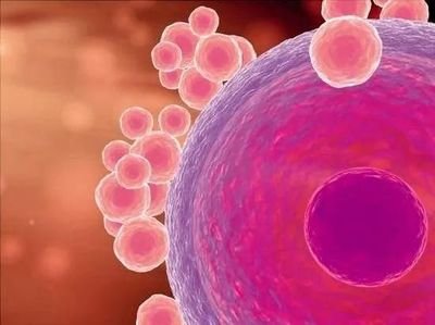女性患有子宫内膜增生要医治后才能怀孕吗