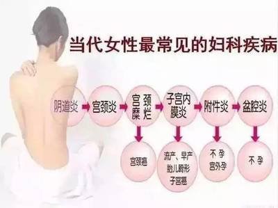 试管婴儿医治前女性应该怎样调理卵巢功用取到好卵子