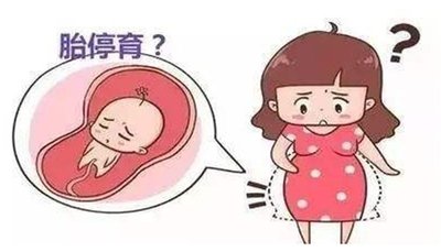 揭阳试管医治怀孕后准妈妈们发胖了是正常情况吗
