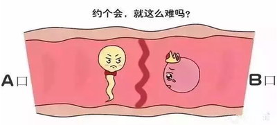 试管移植反复失败为什么可能是凝血功用异常影响
