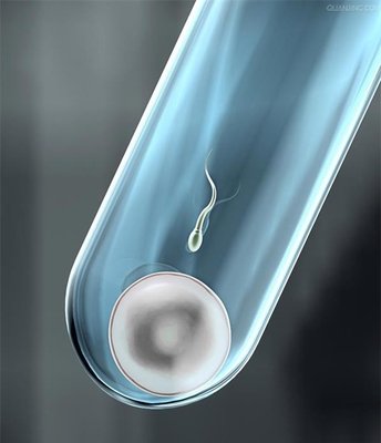 子宫内膜菲薄对女性怀孕会有什么影响吗能否做潮州试管婴儿