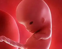 在深圳试管医治期间若碰上经常出差该怎么办