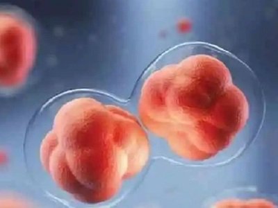 输卵管阻塞多年不孕能否试管婴儿医治