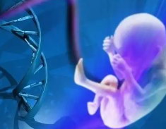 试管科普·年龄大了不要紧?做试管婴儿是不是就能好孕啊