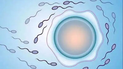 试管婴儿移植后做好这些,胚胎着床更快