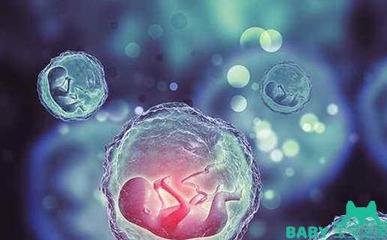 备孕阶段，为什么建议男性做好精液查看