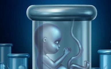 试管婴儿助孕中通过食物可以补充哪些养分
