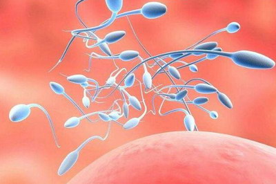 试管婴儿胚胎移植后为什么需要一直打针