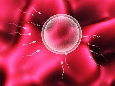 男性弱精症中山试管婴儿要注意哪些方面改善精子质量