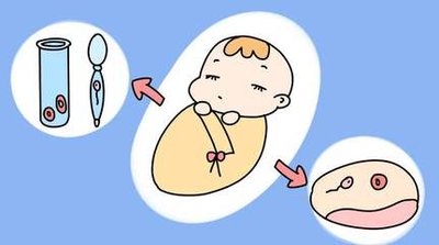 体重对试管的胜利率有没有影响