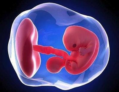 女性子宫内膜薄为什么容易导致流产