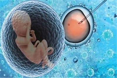 盆腔粘连怎么医治还有试管婴儿生养可能吗