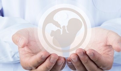 试管婴儿移植多久可以查看到怀孕