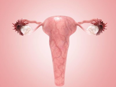 子宫内膜不能接收胚胎,这是怎么回事呢