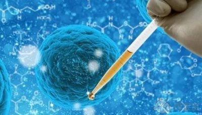 多发性子宫肌瘤影响生养吗还能试管婴儿吗