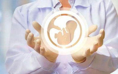 关注试管婴儿好孕·不孕不育夫妇移植后胚胎能胜利着床吗