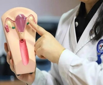 子宫内膜只有6mm的患者做试管会影响效果吗