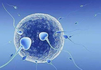 女性不孕过度肥胖会不会对试管婴儿助孕有什么影响