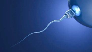 输卵管两侧有阻塞可以做试管婴儿吗