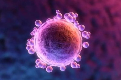 在试管婴儿助孕前做好哪些预备能提高医治效率