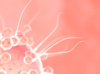 不孕疑问·卵巢性不孕能不能承受试管婴儿医治