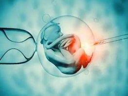 输卵管顺畅为什么还会不孕做试管能怀孕吗