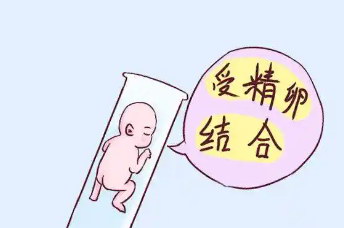 试管婴儿降调、促排期间需要避免剧烈运动吗
