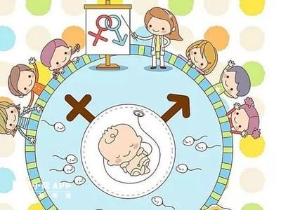 男性不育精子活力差可以做珠海试管婴儿吗