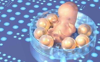 多囊卵巢综合不孕患者想怀孕除了减肥还有什么办法吗