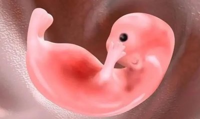 睾丸炎是否影响男性生育可以做揭阳试管婴儿医治吗