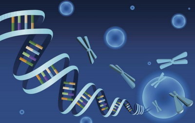 自然怀孕条件是什么巧克力囊肿能不能顺利试管婴儿医治