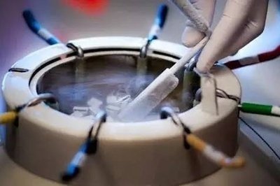 试管婴儿辅助生养卵泡发育不良表示是什么