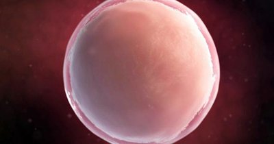 甲减是什么病什么原因滋生的影响试管婴儿吗