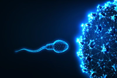 试管婴儿医治遇到子宫肌瘤会有什么影响吗
