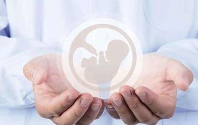 试管婴儿辅助生养卵泡发育不良表示是什么