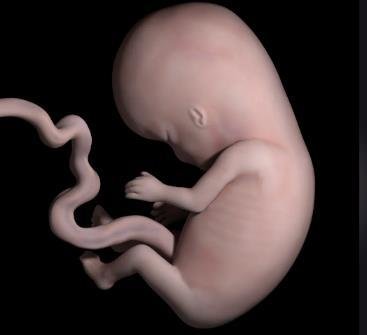 男性的生养能力与生活习惯有关系吗