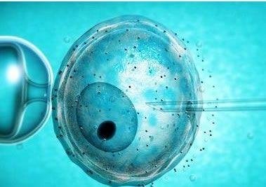 精液液化异常能不能顺利试管婴儿医治