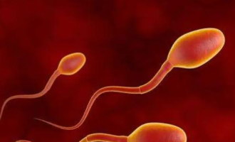 取卵、胚胎移植,有哪些步骤要走