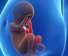 深圳试管婴儿助孕打降调针期间在饮食方面要注意些什么