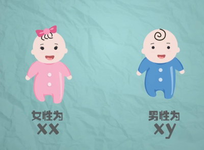 试管医治在哪个阶段一定要进行B超查看