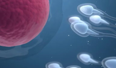 为什么有些难孕难育患者需要做试管婴儿呢