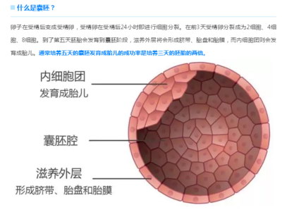 男性精子数量少或少精子症适合试管婴儿吗